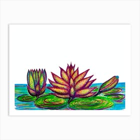 Water Lilies Art Print