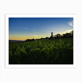 Sunset In A Vineyard Art Print