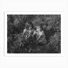 Untitled Photo, Possibly Related To Children Of Farmers In Chili Pepper Field, Concho, Arizona By Russell Lee Art Print