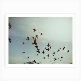 Silhouettes Of Flying Pigeons In The Skies 2 Art Print