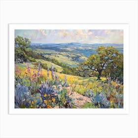 Western Landscapes Texas Hill Country 3 Art Print