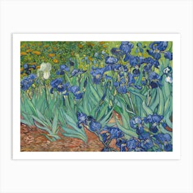 Vincent Van Gogh, Irises, Les Iris, 1889. Art Print