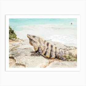 Oceanside Iguana Art Print