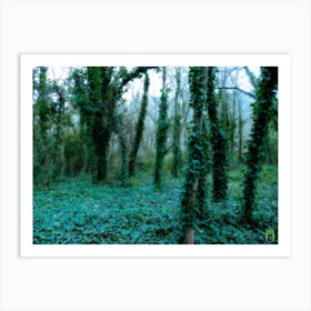 Ivy Covered Forest 202301081005rt1pub Art Print