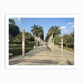 Park With Palm Trees Art Print