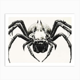 Arachnid Spider Art Print