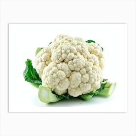 Cauliflower 1 Art Print