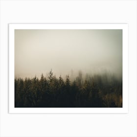 Foggy Forest 1 Art Print