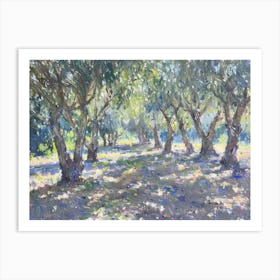 Olive Trees In The Sun Art Print