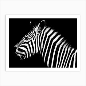 Zebra Line Art 2 Art Print