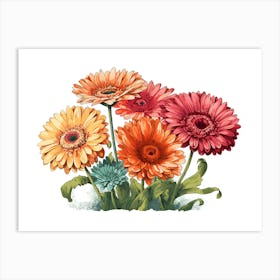 Gerberas 1 Art Print