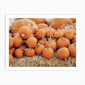 Autumn Farm Pumpkins Art Print