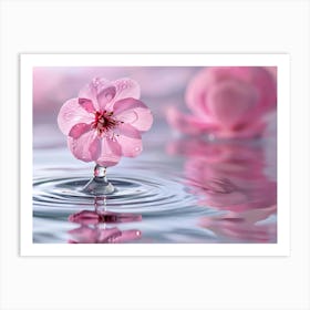 Water Droplets On A Pink Flower Art Print