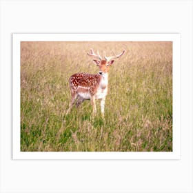 Phoenix Park, Dublin Art Print