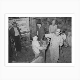 Looking At Cow S Teeth In Auction Barn, San Augustine, Texas By Russell Lee Art Print