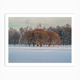 Trees In The Snow Art Print