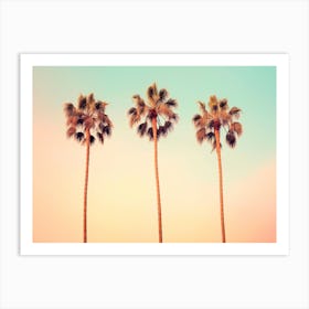 California Dreaming - Iconic Palms Art Print