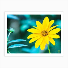 Yellow Flower 20221022541pub Art Print