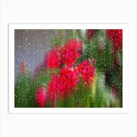 Raindrops On A Window Art Print