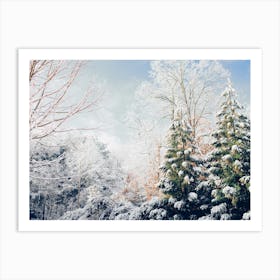 Winter Forest Art Print