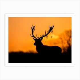 Red Deer Stag Silhouette Art Print