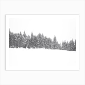 Snowy Forest Art Print