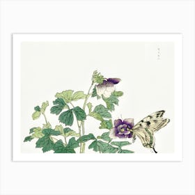 Butterfly And Flower 1 Art Print