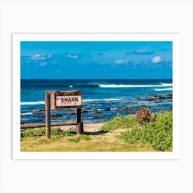 Shark Beach Art Print