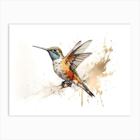 Kolibri Hummingbird - Water Color Painting 8 Art Print