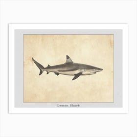 Lemon Shark Silhouette 3 Poster Art Print