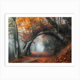 Autumn Forest 21 Art Print