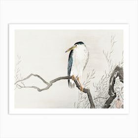 Quack On Erratic Branch (1900 1910), Ohara Koson Art Print