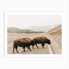 Bison Crossing Road Art Print