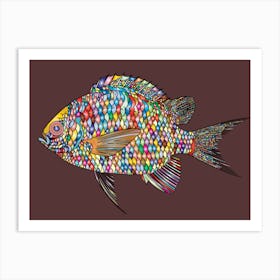 Colorful Fish Art Print