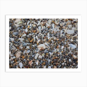 Tiny And Large Sea Shell And Rocks Texture Background 8 Art Print