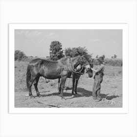 Son Of Tenant Farmer With Team Of Mules Near Muskogee, Oklahoma, Refer To General Caption Number 20 By Russell Art Print