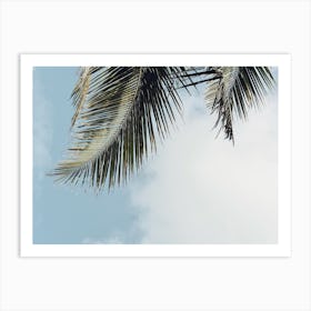 Palm Leaf Sky Art Print