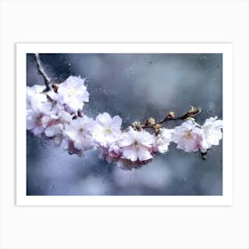 Cherry Blossoms In The Rain 2 Art Print