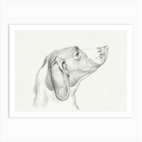 Head Of A Dog (1812), Jean Bernard Art Print