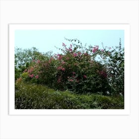 Garden 12 By Binod Dawadi Art Print