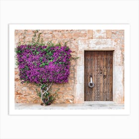 Bougainvillea Door With Purple Flowers Art Print