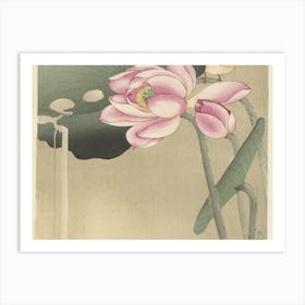 Lotus Flower And Bird Art Print