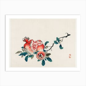 Pomegranate, Kōno Bairei Art Print