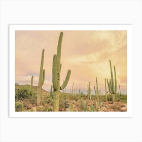 Warm Desert Cactus Sky Art Print