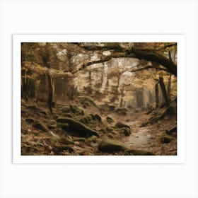 Autumn Forest Art Print