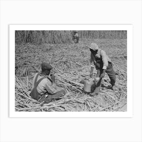 Untitled Photo, Possibly Related To Sugarcane Worker Drinking Water In The Field Near New Iberia, Louisiana By Art Print