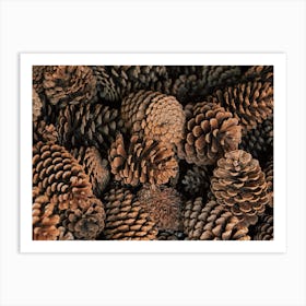 Winter Scented Pine Cones Art Print