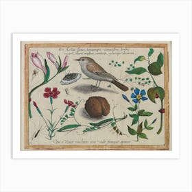 Summer Brings Forth Flowers, And Clothes The Earth With Green Grass, Giving Song To The Birds And Beauty To The Trees (1592), Joris Hoefnagel Art Print