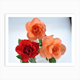 three roses Art Print