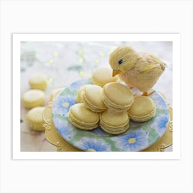 Macarons On A Plate Art Print